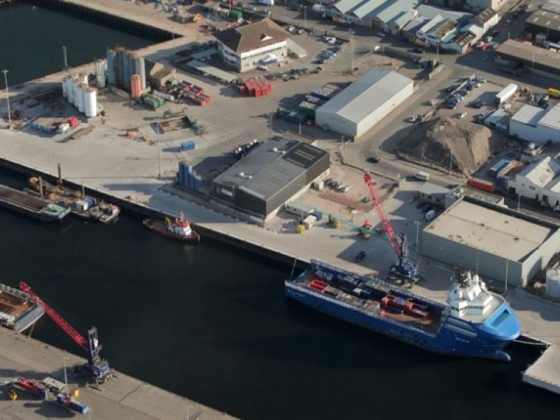 torryquay-3